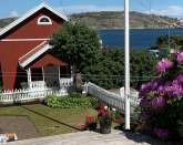 Small luxurious cottage with a sea view