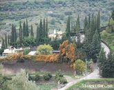 Charming house in the Andalusian countryside